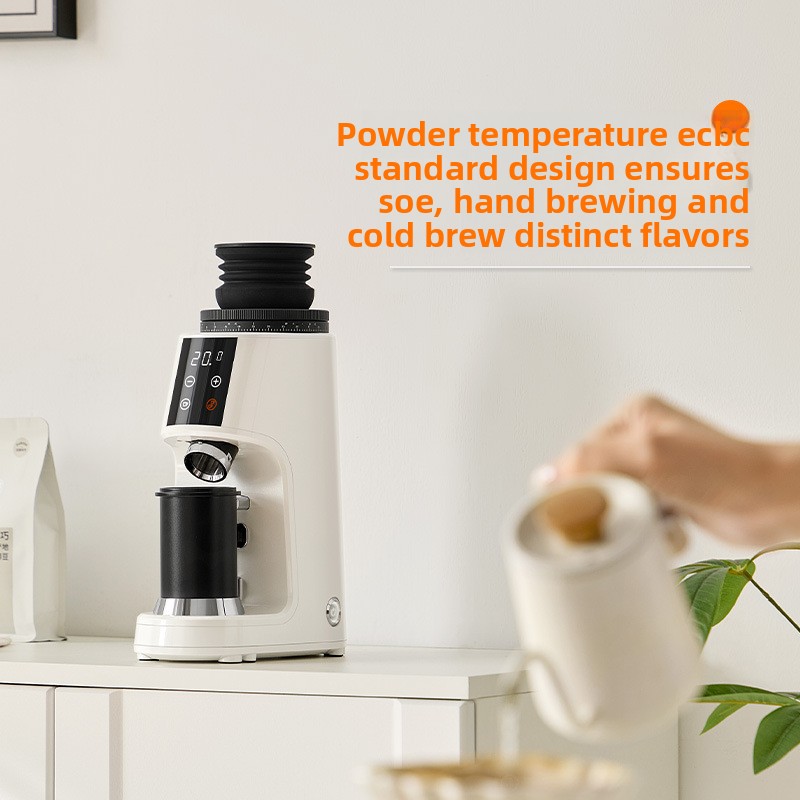 Electric Coffee Grinder, 100 S - Coffee Grinder Burr Flat review and price